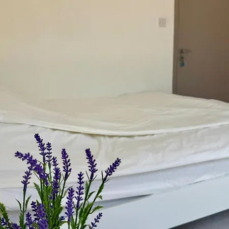 Appartement The Fig Tree Aglantzia