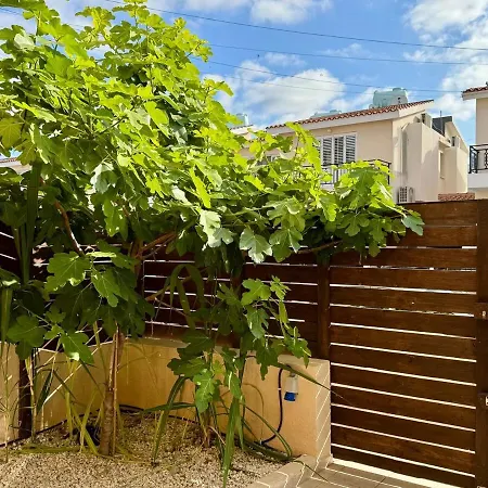 The Fig Tree Apartment Aglantzia