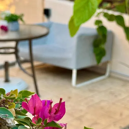 Apartment The Fig Tree Aglantzia