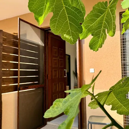 The Fig Tree Apartment *