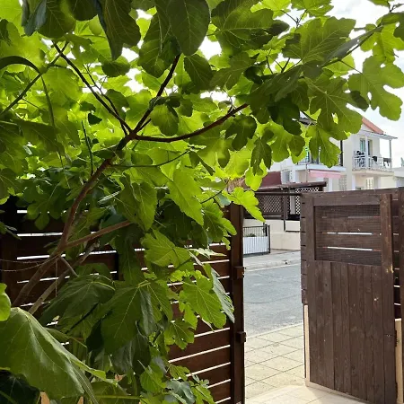 Apartment The Fig Tree